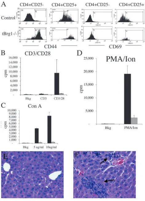 Figure 8. Functional characteristics of T lym- lym-phocytes from tBrg1   mice. (A) FACS ®  analysis of CD44 and CD69 on mutant and control CD4  lymphocytes