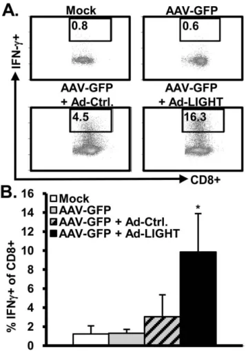 Figure 3. LIGHT increases CD8+ effector T cells in the liver.