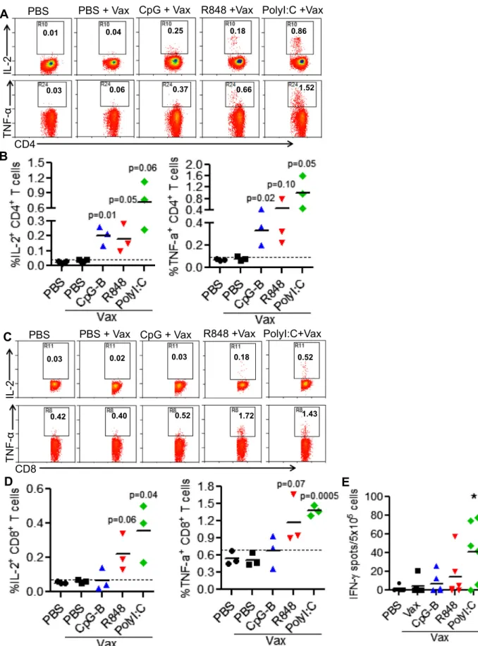 Fig. 5. CpG-B, R848 and Poly I:C differentially enhance antigen-specific CD4 + and CD8 + T cell responses to vaccination