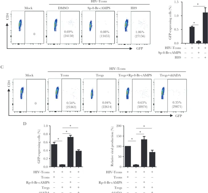 Figure 7.  Human immunodeficiency virus type 1 (HIV-1) activation and gene expression in CD4 +  T cells is suppressed via adenylyl cyclase–dependent cyclic adenosine  monophosphate (cAMP) in regulatory T cells (Tregs)