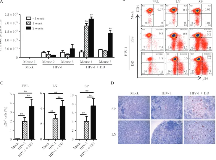 Figure 2.  Regulatory T-cell (Treg) depletion increases human immunodeficiency virus type 1 (HIV-1) replication in chronically infected humanized mice