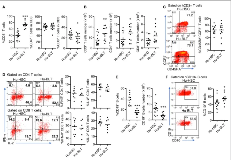 FigUre 3 | Phenotype and function of human T and B cells from NRG-hu HSC and NRG-hu Thy/HSC mice