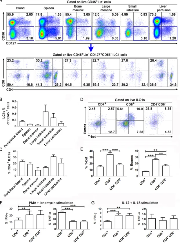Fig 1. Identification of the CD4 + , CD8 + and CD4 - CD8 - ILC1 subsets in human lymphoid organs