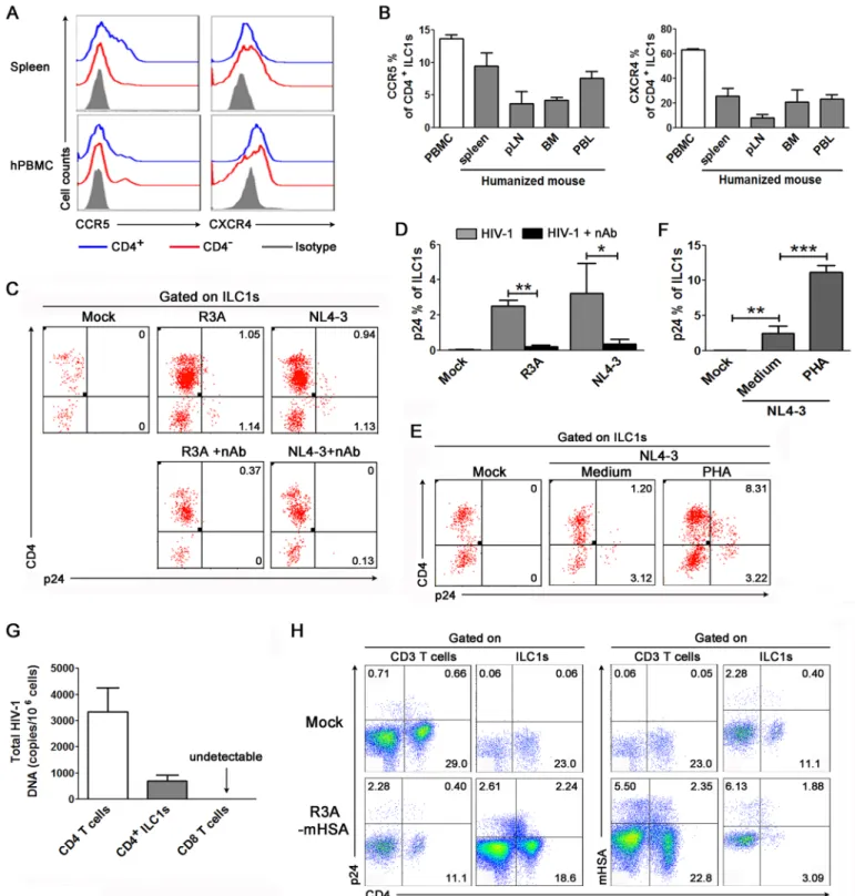 Fig 2. HIV-1 infects ILC1 cells. (A) Representative histograms indicate the expression of the HIV-1 co-receptors CCR5 and CXCR4 on CD4 + and CD4 - ILC1s from the spleen of humanized mouse and human peripheral blood