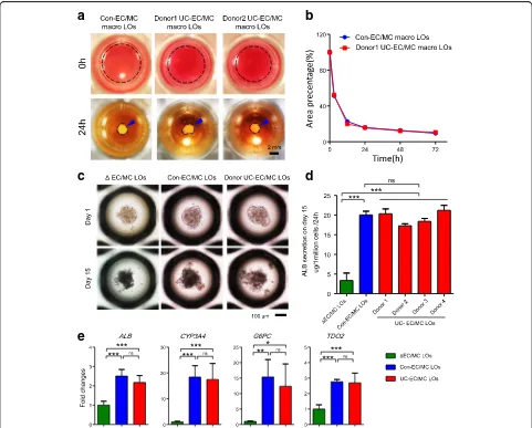 Fig. 1 < 0.05, **p < 0.01, ***p < 0.001. ALB albumin, ns not significant, Con control, EC endothelial b Percentday 15.donors,cell, LO liver organoid, MC mesenchymal cell, UC umbilical cord, CYP cytochrome P450, G6PC glucose-6-phosphatase catalytic subunit,