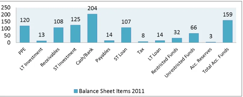 Figure 1: Disclosures of Balance Sheet Items  