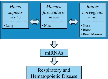 Figure  3: Project overview.  The effect  of formaldehyde inhalation exposure  on miRNA expression profiles  is assessed across  three species