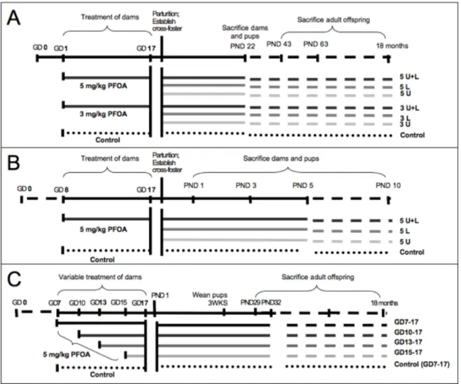 Figure  3-1.    Schematic  of  study  design  and  implementation.    Shown  for  (A)  the  late-life  effects cross-foster study, (B) the early-life effects cross-foster study, and (C) the restricted  exposure study