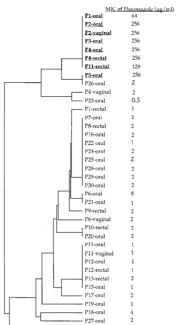 FIG. 3. UPGMA phenogram of the 38 strains of C. albicans from HIV-infected patients analyzed in this study
