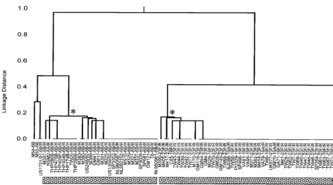 FIG. 1. Relationships among isolates of the Spain23Fand penicillin-resistant isolates are identiﬁed by the sufﬁx /R
