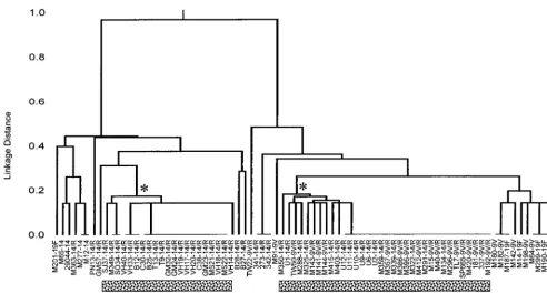 FIG. 2. Relationships among isolates of the France9Vto three of the seven loci. The isolate designations are as described in the legend to Fig