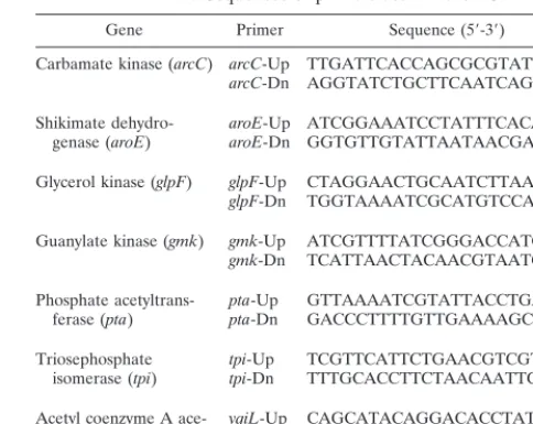 TABLE 1. Sequences of primers used in the PCR