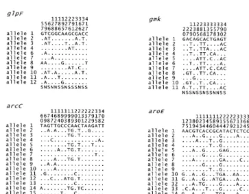 TABLE 2. Sequence variation at the seven loci