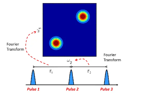 Figure 1.3. An example of 2D Fourier transform vibrational spectroscopy. Typically, two time  intervals are built by three pulses, and the measured signal oscillates in both delays,   1  and   2 