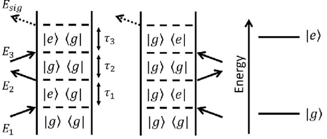 Figure 2.6. In a third-order nonlinear spectroscopy, two Feynman diagrams for a two-level  system are shown