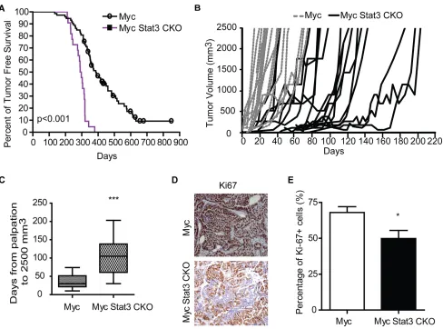 Figure 3: Loss of STAT3 alters tumor onset and tumor growth. A. A Kaplan-Meier plot of tumor-free survival for MMTV-Myc (n=73) and Myc Stat3 CKO (n=22) is shown