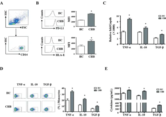 Figure 1  Phenotypic and functional difference of monocytes between chronic HBV-infected patients and HCs
