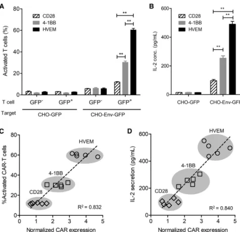 Figure 2. Human T Cell Line Expressing CAR with the HVEM-Derived CSSD Is Efficiently Activated upon Cognate Antigen Stimulation