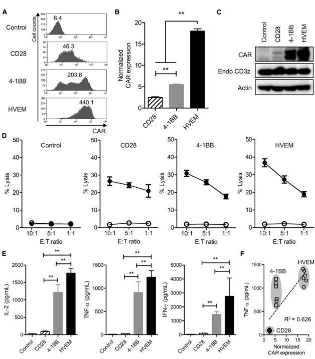 Figure 3. CAR-T Cells with the HVEM-Derived CSSD Exhibit Potent Effector Functions