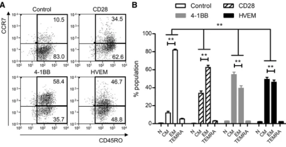 Figure 4. CAR-T Cells with the HVEM-Derived CSSD Efficiently Differentiate to Both Central and Effector Memory Subsets