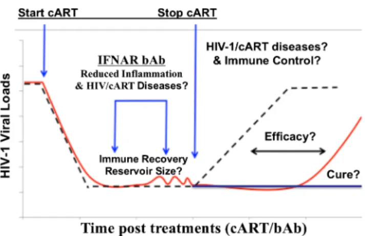 Fig. 1 Targeting IFN-I signaling in HIV-1 persistence, pathogenesis, and therapy. The chronic IFN-I signaling during HIV-1 infection ± cART contributes to HIV-1 disease progression, including hyper-immune activation, immune impairment, and HIV-1 reservoir 