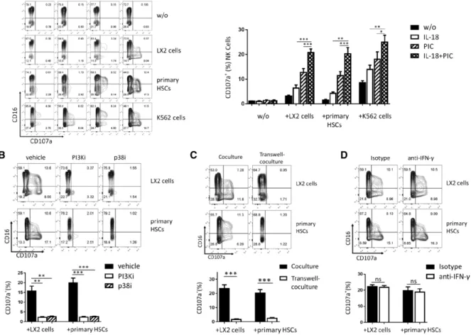 Fig. 2D) and production (P < 0.01; Fig. 2E) as well as TRAIL expression (P < 0.001; Fig