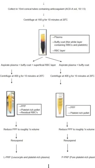Fig. 1 Methods of obtainging PRP [18]  