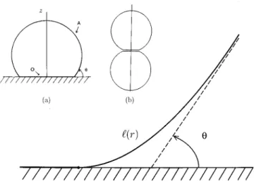 FIG. 1. Height profile l (r) with r the radial distance to the z-axis. Lengths are in units of (k/ s ) 1/2 