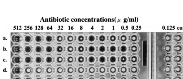 TABLE 2. Comparative susceptibilities of P. vulgaris B317 and other strains to various antibiotics, as determined bybroth microdilution and agar dilution methods