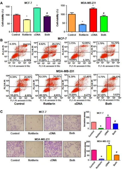 Figure 4: The effect of Skp2 overexpression on cell growth, apoptosis and invasion. (A) CellTiter-Glo® luminescence assay was used to investigate the effect of Skp2 overexpression in combination with rottlerin treatment on breast cancer cell growth