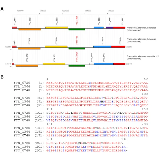 Figure 2.1. Comparison of iclR in three Francisella strains 