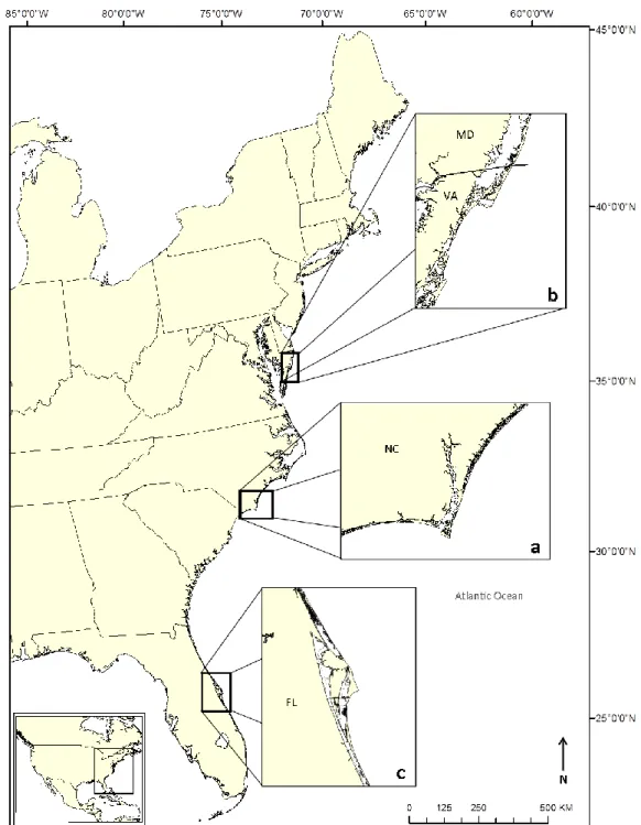Figure 1.  Location of cuspate coastline study areas along the eastern USA are (a) Cape Fear, North  Carolina