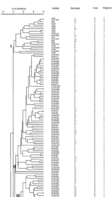 FIG. 2. Genetic relationship among 223 S. agalactiaethree primers. The dendrogram was generated by the unweighted pair group method with arithmetic means