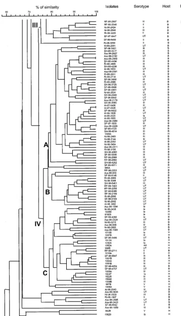 FIG. 2—Continued.