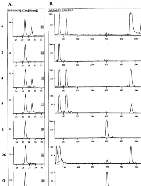 FIG. 4. A. otitidisanalysis of MEEs (B). The specimen number is given to the left of each row