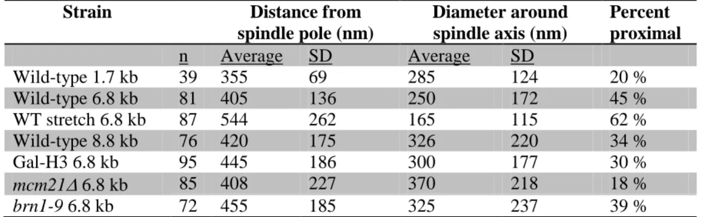 Table 1.1 Average position of CEN proximal LacO spots in wild-type and mutants 