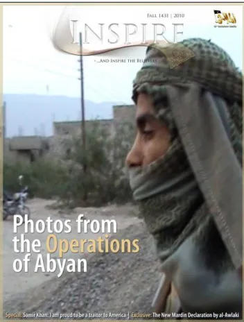Figure 1.  The cover of the Fall 2010 issue of Inspire.