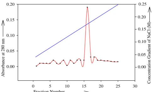 Figure 2: Ion-exchange chromatography elution profile of ZMSL on DEAE-cellulose.  Polyacrylamide Gel Electrophoresis 