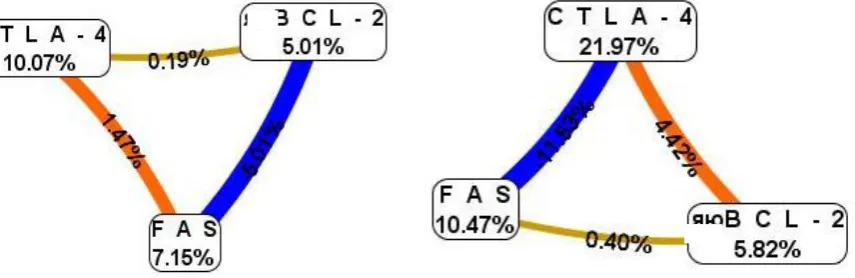 Fig. 13. Polymorphic variants of the CTLA-4 (+49G/A) and BCL-2 (63291411A>G) genes, cussing a high (dark grey box) and a low (light grey box) risk of the ІI-degree thyroid hyperplasia in patients