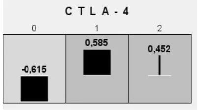 Fig. 3. Combination of polymorphic variants of and probability of euthyroidism in thyroid pathology in patients