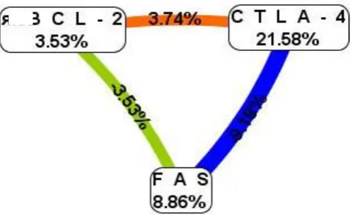 Fig. 4. Cluster analysis of modeling gene-gene interaction of three genes CTLA-4, Fas 