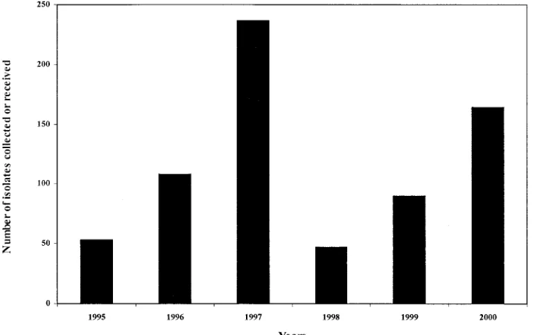 FIG. 1. Graph showing the number of isolates collected and received in our laboratory between 1995 and 2000