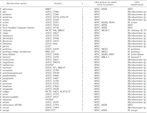 TABLE 1. LiPA patterns and LiPA interpretations obtained with 47 reference isolates of 37 different mycobacterial species