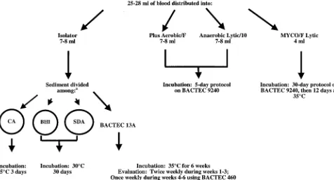 FIG. 1. Inoculation, incubation conditions, and incubation durations. follows: one-half of the volume was inoculated into a BACTEC 13A bottle, and the remaining one-half of the volume was divided into three equala, A total of 1.0 to 1.5 of sediment from the Isolator tube was divided asportions and inoculated on chocolate agar (CA), brain heart infusion agar (BHI), and Sabouraud dextrose agar (SDA) plates.