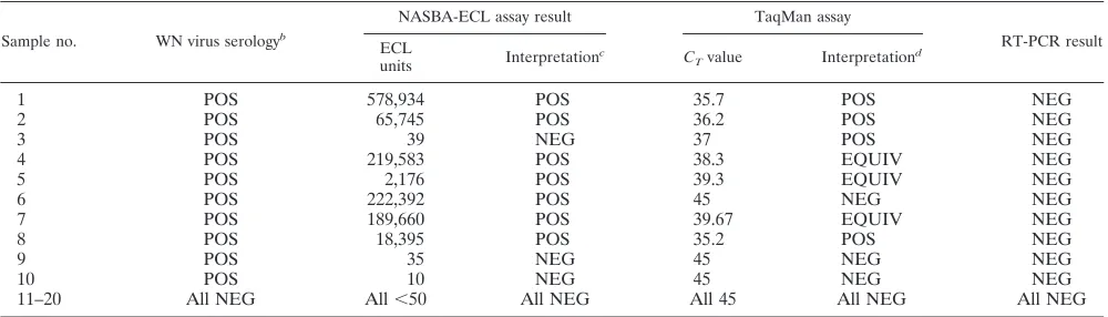 TABLE 5. Detection of WN virus in human CSF specimens by NASBA, TaqMan, and RT-PCR assaysa