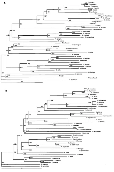 FIG. 1. (Continued on following page.)
