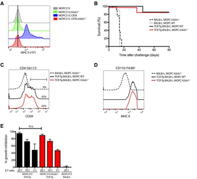 Figure 4: MHC II expression on tumor cells is not required for CD4+ T cell immunoprotection
