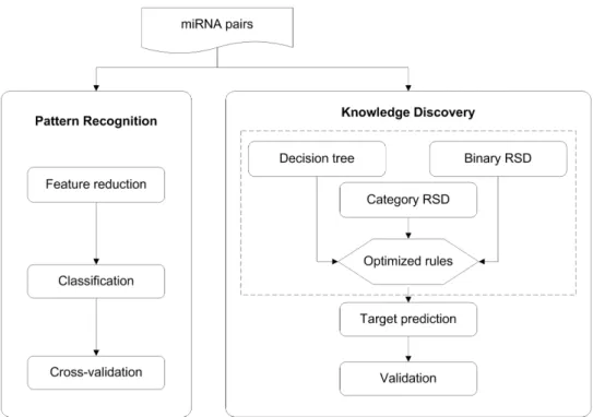 Figure 1: Workflow. miRNA pairs are analyzed by both pattern recognition and knowledge discovery strategies.