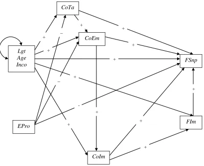 Figure 1. Conceptual representation of the full mediation model. 
