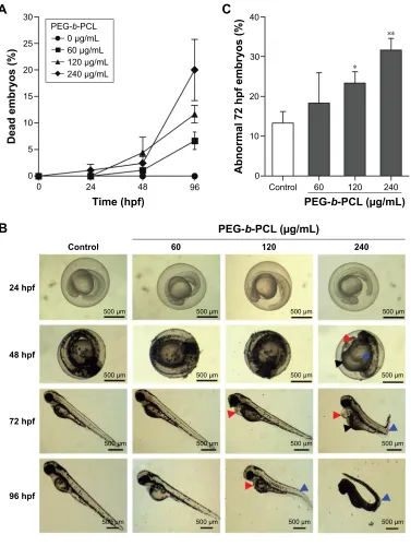 Figure 3 effects of Peg-b-PCL on zebrafish embryos and larva.Notes: (A) The mortality rates of embryos exposed to 0, 60, 120, and 240 μg/ml Peg-b-Pcl nano-micelles